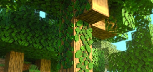 Textures : Vignes réalistes[1.21+]