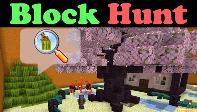 Map: Block Hunter Minecraft PE (Bedrock)