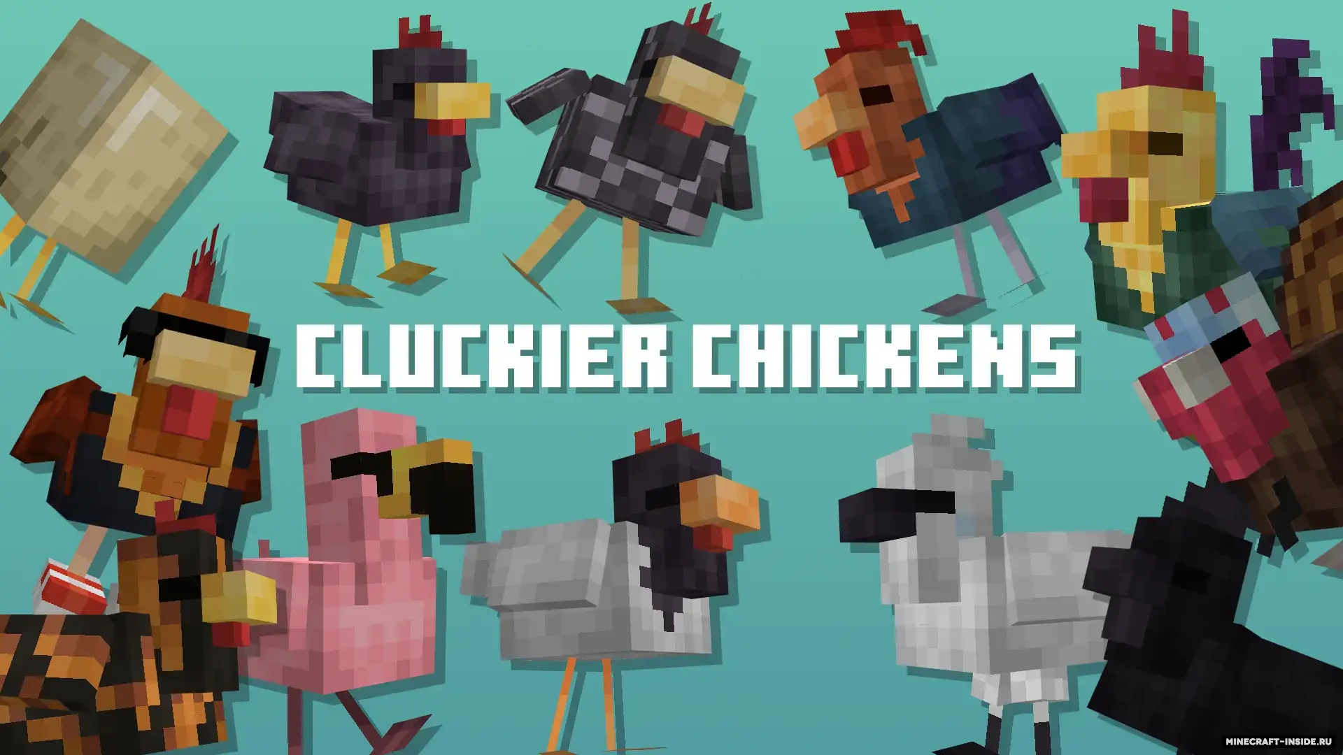 Textures : Variétés de poulets
