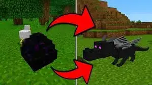 Mod «Élever un dragon» pour Minecraft
